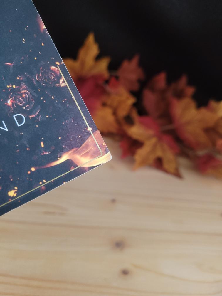 The Devil's Sons - Tome1 - Format Poche (Occasion)