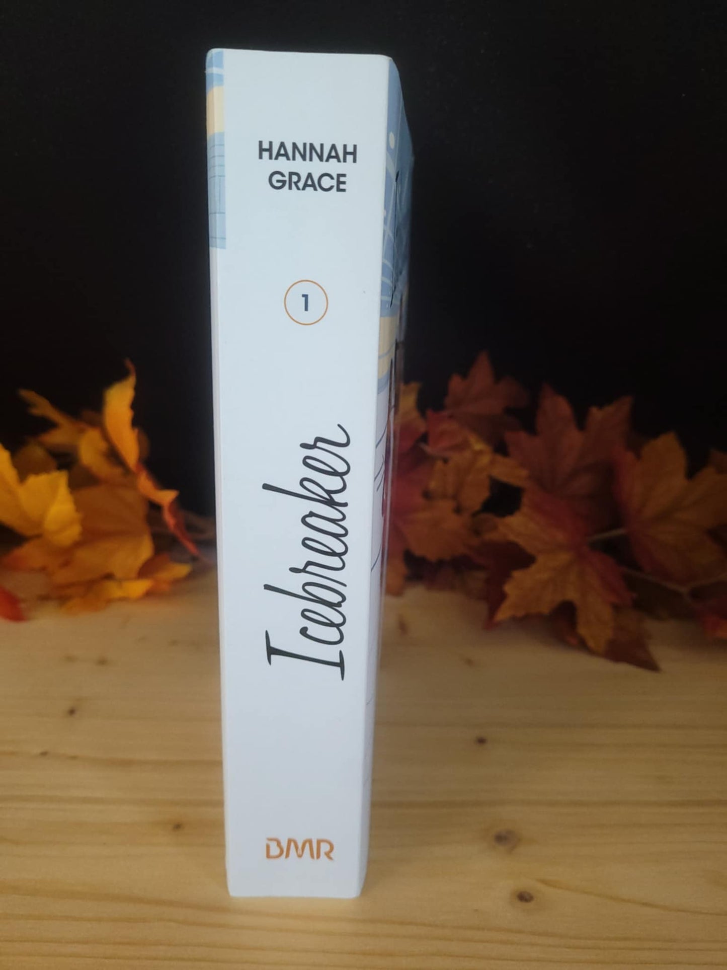 Icebreaker ( livre d'occasion)