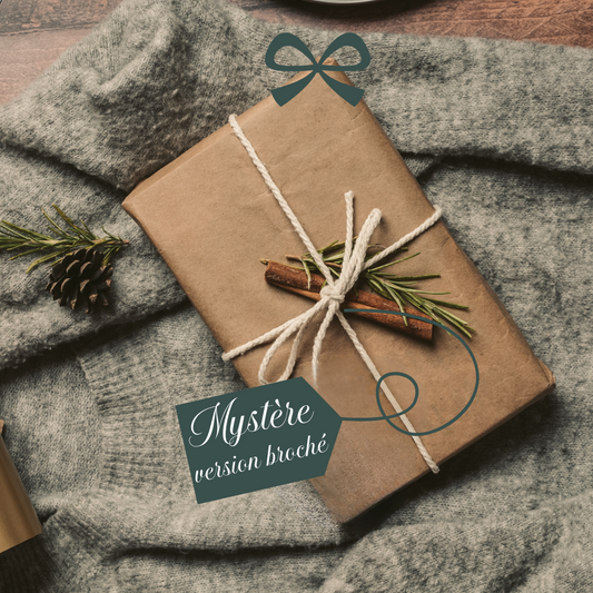 🎄 Box Seconde Chance - Édition Mystère de Noël 🎁 Version broché