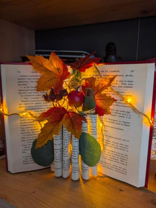 Livre d'automne 🍂
