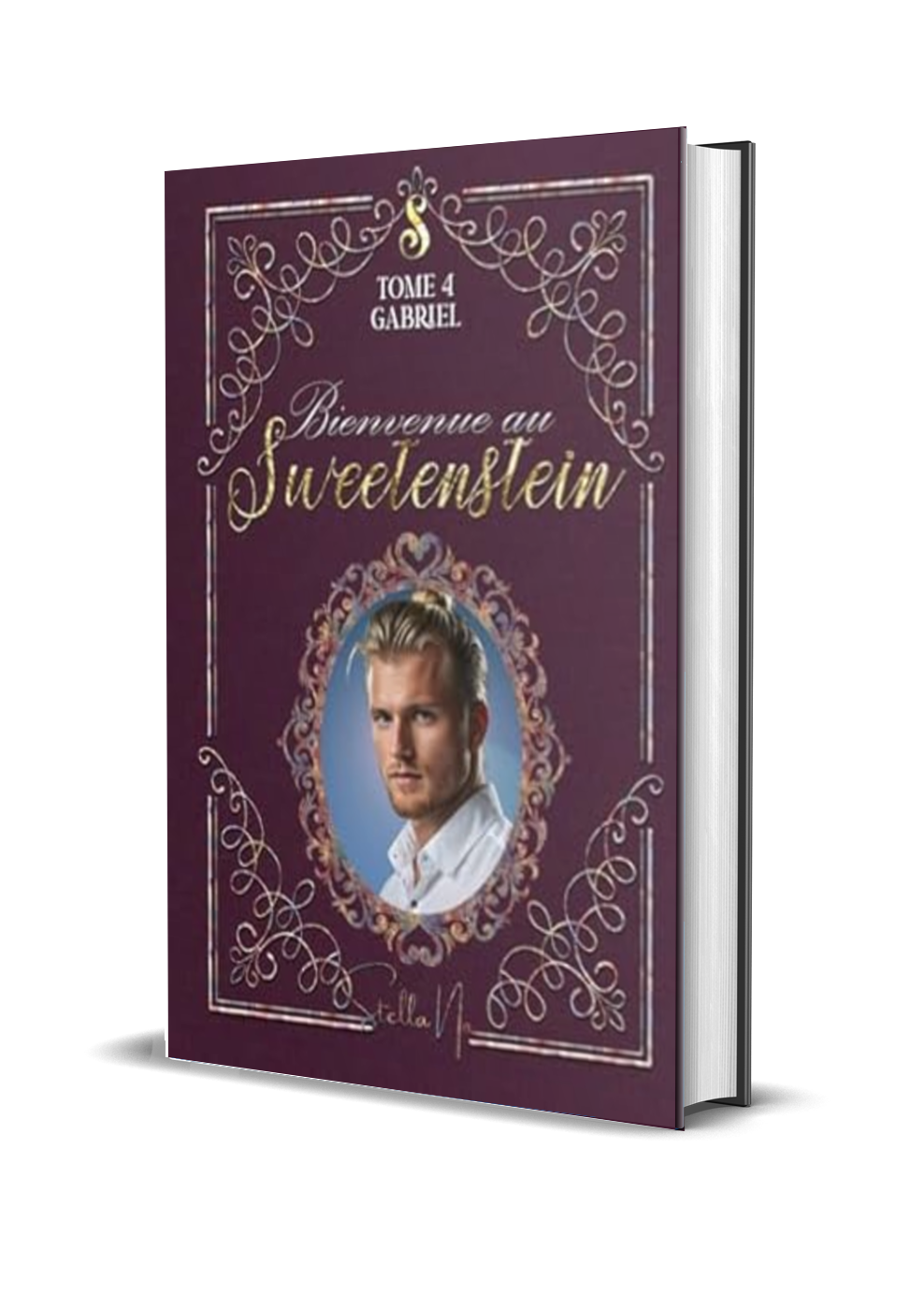 Bienvenue au Sweetenstein: Tome 4 : Gabriel (Relié)