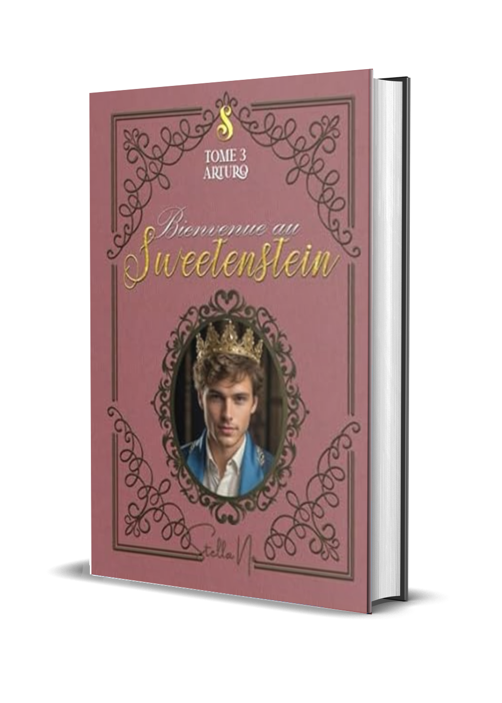 Bienvenue au Sweetenstein: Tome 3 : Arturo (Relié)
