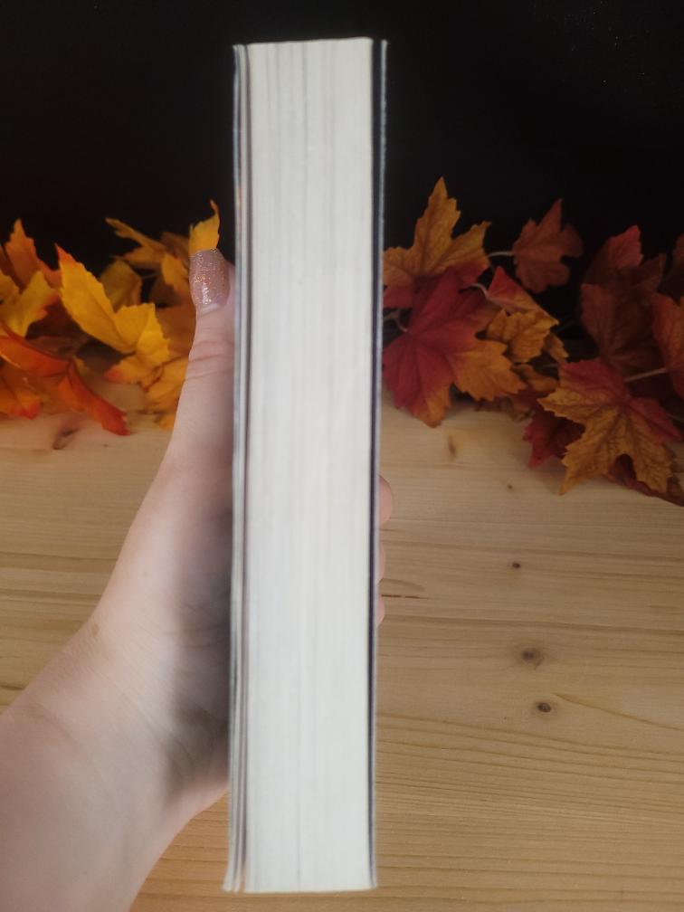 The Devil's Sons - Tome1 - Format Poche (Occasion)