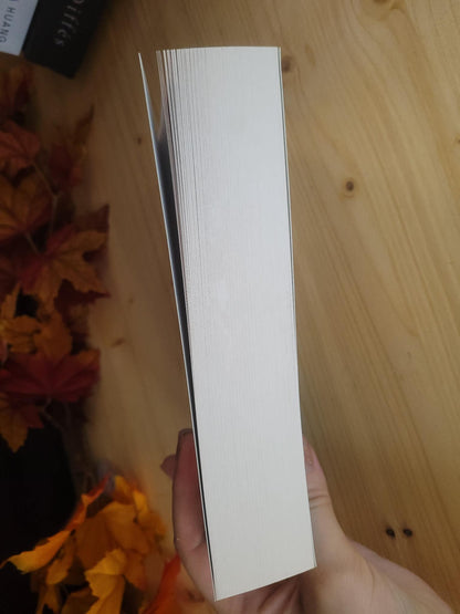 Icebreaker ( livre d'occasion)