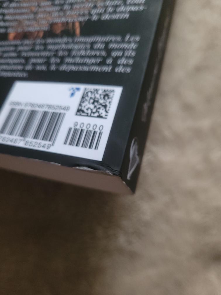 L'Héritier des Vestiges (occasion)